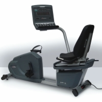 Aristo Commercial Recumbent Bike