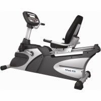 Fitnex Light Commercial Recumbent Bike