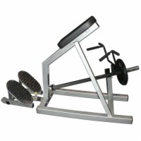 Pro Series Incline Lever Row