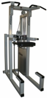 Dip / Chin Assist Combination Selectorized Machine