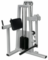 Glute Press Selectorized Machine
