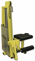 Leg Extension