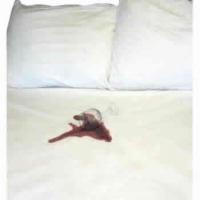 Ultra Thin Waterproof Adjustable Bed Mattress Cover