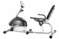 Sunny Magnetic Recumbent Bike