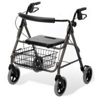 Guardian Envoy 480 Rolling Walker