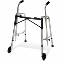 Guardian Strider Prescription Walker