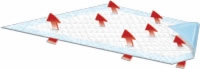 Cairpad Fluid Control Pad Fluff Underpad 23"x36"