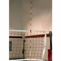 Antennae 1