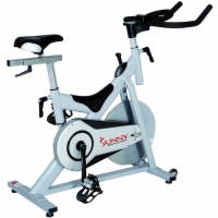 Sunny Indoor Cycling Bike