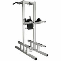 Dip / Chin / Ab / Push-Up Station