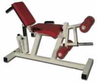 Leg Extension and Curl