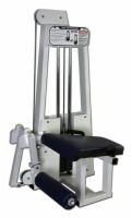 Leg Extension