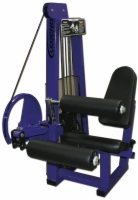 Seated Leg Curl