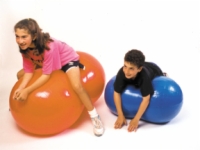 Cando Inflatable Exercise Saddle Roll - 24 Inch High