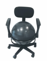 Cando Ball Chair - Metal - Mobile - With Back - With Arms