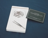 O'Connor Tweezer Dexterity Test