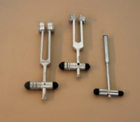 Neurological (Buck) Hammer