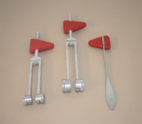 Taylor Hammer With 256 Cps Tuning Fork