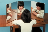 3-Panel Ultra-Safe Glassless Mirror (16"X12" Panels)