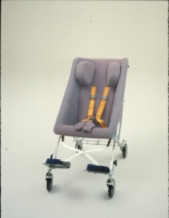 Columbia/Britax Child Positioning Seat With Therapedic Explorer Mobility Base
