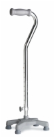 Cane Quad Molded Youth Sa Guardian