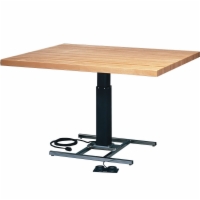Professional Electric Hi-Low Test Table