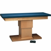 Professional Electric Hi-Low Treatment Table