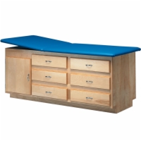 Adjustable Back Cabinet Treatment Table