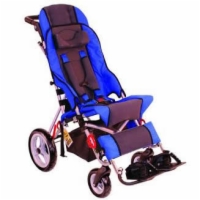 Cruiser Stroller Chair