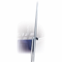 Overhead Adjustable Anti-Theft Device Single Pole