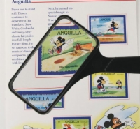Magnifying Glass 2 X4  Rectangular