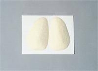Felt Metatarsal Pad 1/4  Small  Pair