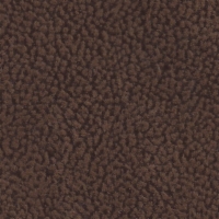 Nutmeg