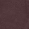 Coffee Bean - Brisa